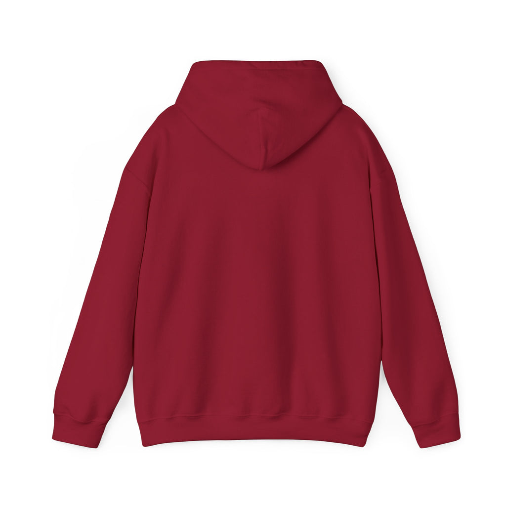 Grim Reaper D20 Hoodie — "Rollin' in da Hood" RPG Gaming Sweatshirt