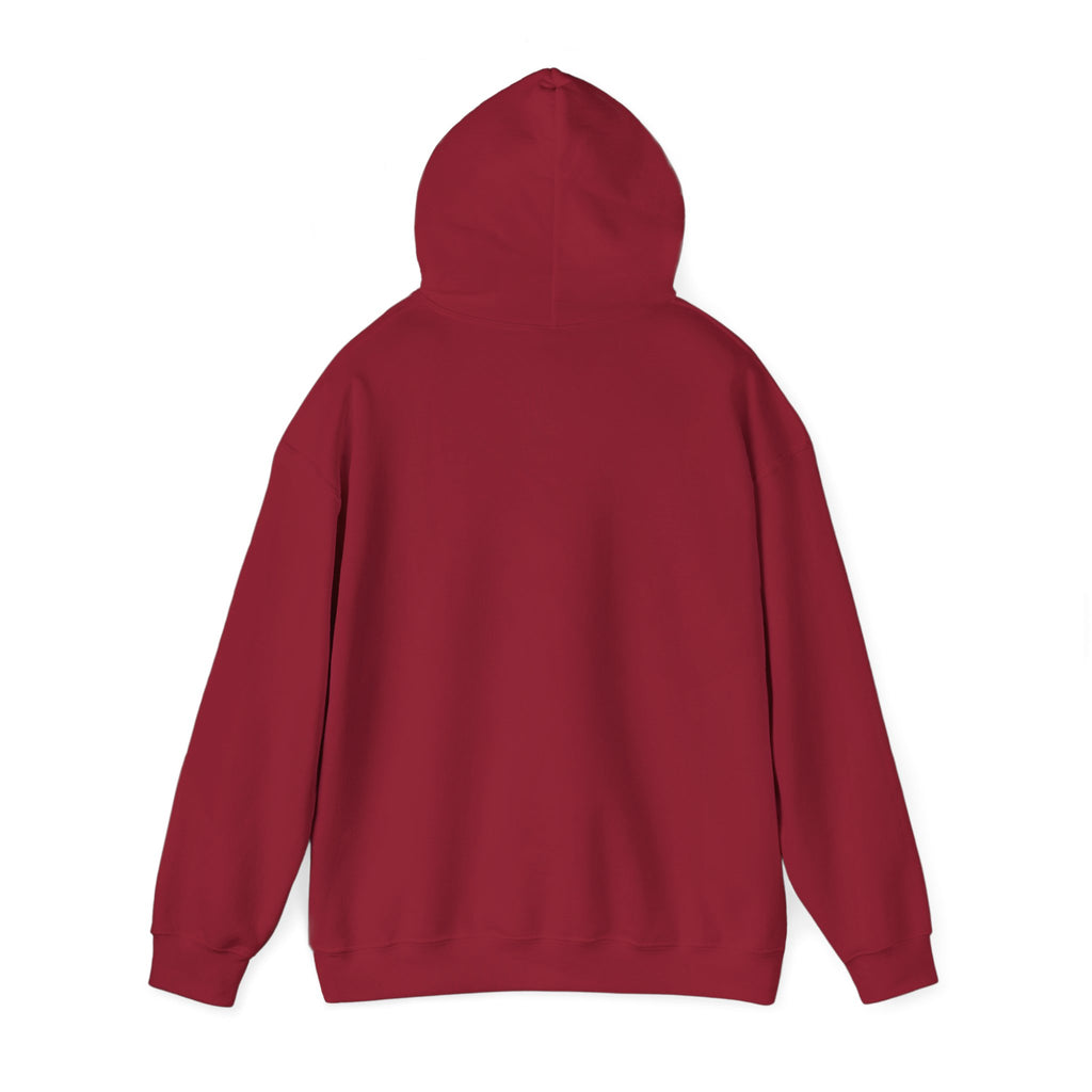 Grim Reaper D20 Hoodie — "Rollin' in da Hood" RPG Gaming Sweatshirt
