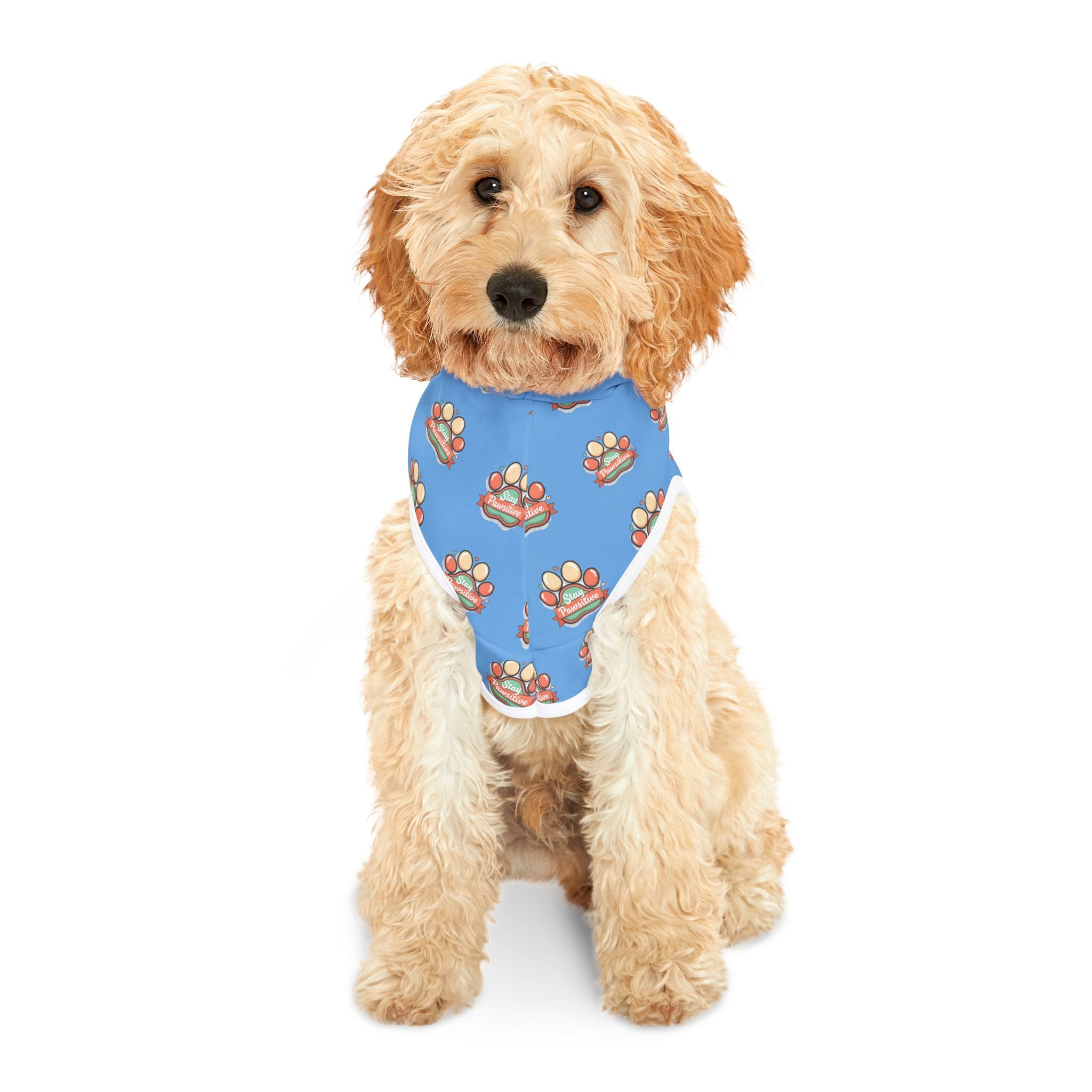 Blue Paw Print Pet Hoodie – Cute Paw Pattern Dog & Cat Sweatshirt